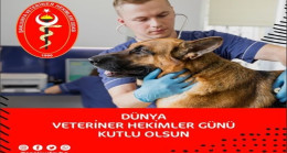Şanlıurfa Veteriner Hekimleri Odası Başkanı Abdullah Açıkgöz `den Dünya Veteriner Hekimler Günü Mesajı