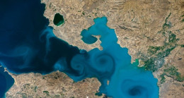 “Haydi İstanbul, Van Gölü’nü Oyla”