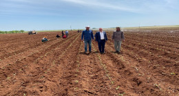 BAŞKAN BAHRİ EKİNCİ, ALTERNATİF ÜRÜN YETİŞTİREN ÇİFTÇİLERİMİZİN HER ZAMAN YANINDAYIZ