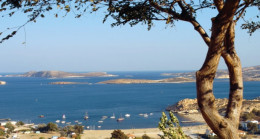 Foça