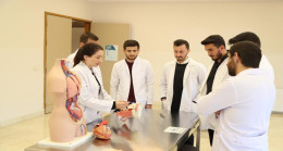 DÜŞME SONUCU YAŞANAN AĞRILAR İHMAL EDİLMEMELİ