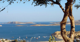 Foça