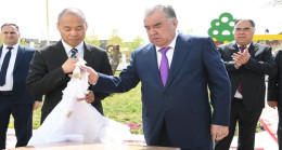 Ифтитоҳи кӯдакистони «Дӯстӣ» дар шаҳри Истиқлол