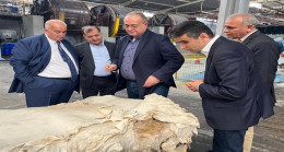 Visit of the Ambassador to the Robbiki city