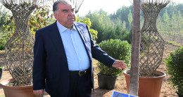 Milli Parkı ziyaret edin