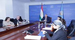 Online Meeting of the Minister of Foreign Affairs with the UNESCO Assistant Director-General for Natural Sciences