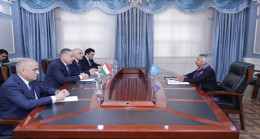 Meeting of the Minister of Foreign Affairs with the UN Resident Coordinator in Tajikistan