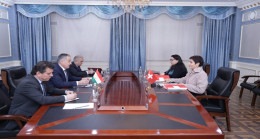 Meeting of the Minister of Foreign Affairs with the Director of Swiss Cooperation Office in Tajikistan