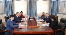 Tacikistan’daki UNHCR Ofisi Başkanı ile görüşme