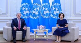 Meeting of the Minister of Foreign Affairs with the Director-General of UNESCO