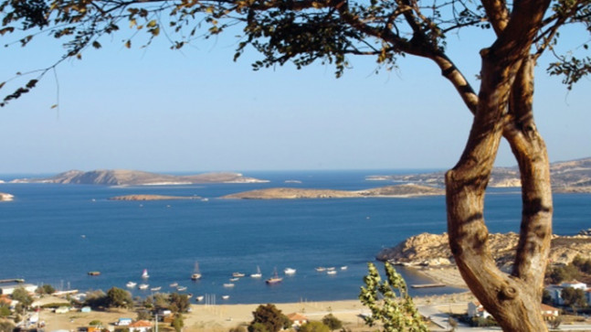 Foça