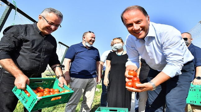 BAŞKAN ÇALIK YAŞAM BAHÇESİ’NDE HASADA KATILDI
