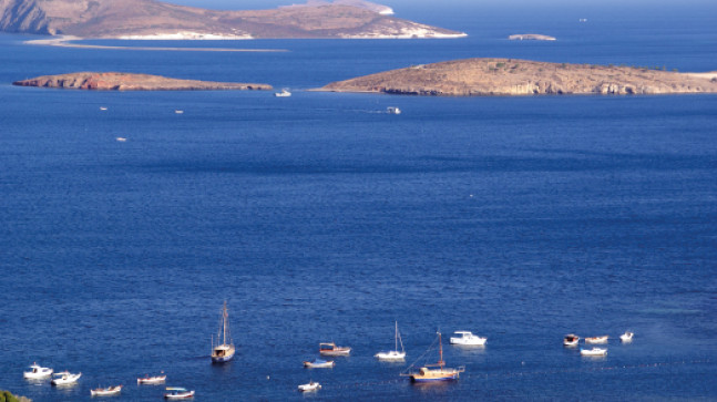 Foça
