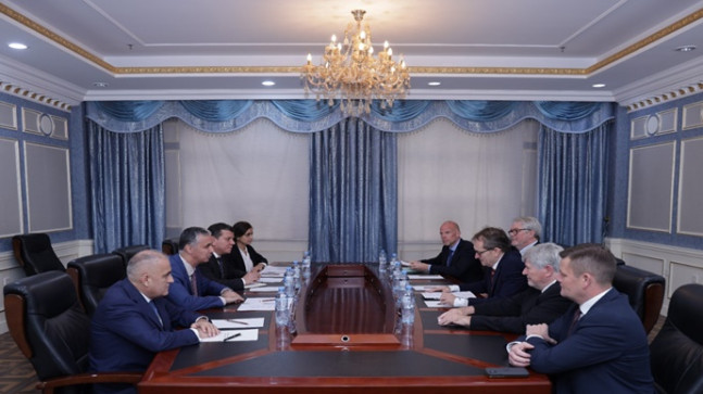 Meeting of the First Deputy Minister with the Head of the OSCE PA Delegation