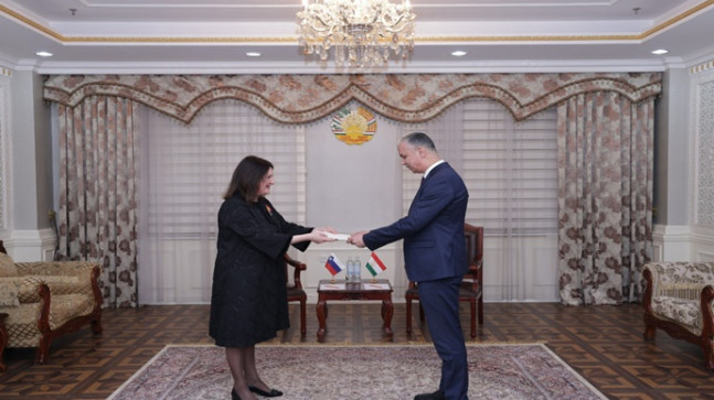 Presentation of the copy of the Credentials of the Ambassador of Slovenia