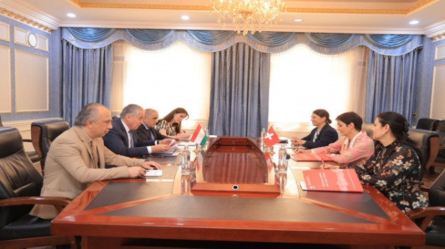 Dışişleri Bakanı’nın İsviçre İşbirliği Ofisi liderleriyle görüşmesi
