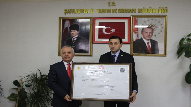 BAŞKAN HASAN EYYÜPOĞLU ‘NA 1. DERECE ÖRGÜT BELGESİNİ İL MÜDÜRÜ MEHMET SALİH SÖĞÜT TAKDİM ETTİ