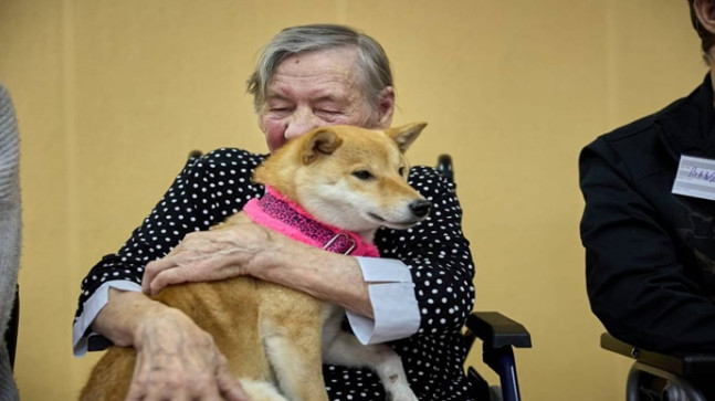 Birleşik Rusya’nın desteğiyle, Smolensk bölgesindeki bir köyde emekliler için köpeklerle terapi seansı düzenlendi