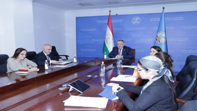 Online Meeting of the Minister of Foreign Affairs with the UNESCO Assistant Director-General for Natural Sciences
