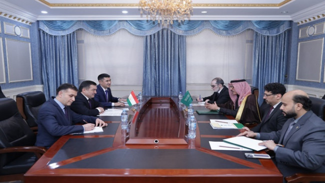 The meeting of the Deputy Minister with the Ambassador of Saudi Arabia