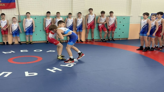 Aleksandr Karelin, Birleşik Rusya partisinin “Güçlülerin Seçimi” projesi kapsamında Samara bölgesinde güreş, sambo ve judo bölümü açtı