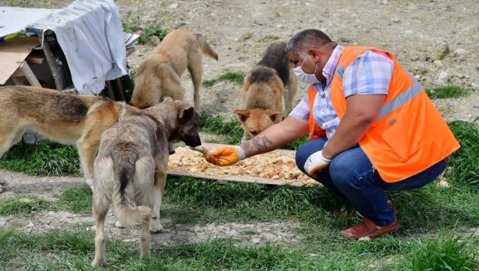 Açıklama yok.